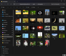 Screenshot showing image folders, thumbnails, or another example of how site assets are organized.